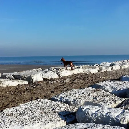 L'antico Lido Venice Vendégház